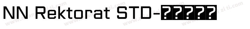 NN Rektorat STD字体转换